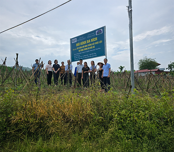 CÔNG TY TNHH TAM DƯƠNG BẮC