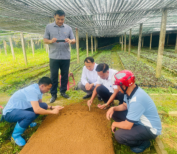 CÔNG TY TNHH TAM DƯƠNG BẮC